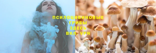 ECSTASY Богданович