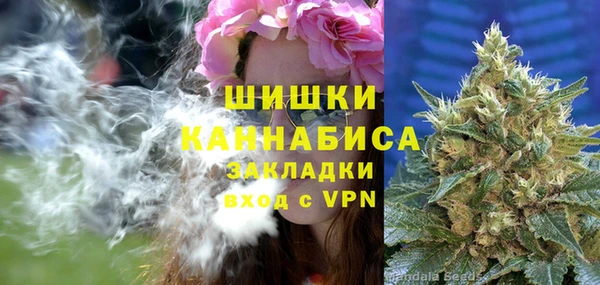 трава Богородицк