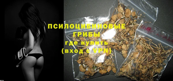 трава Богородицк