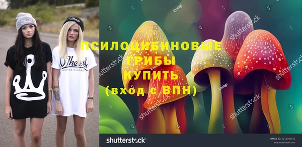 ECSTASY Богданович