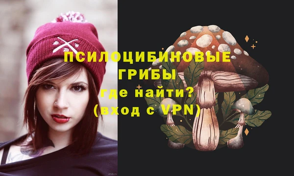 ECSTASY Богданович